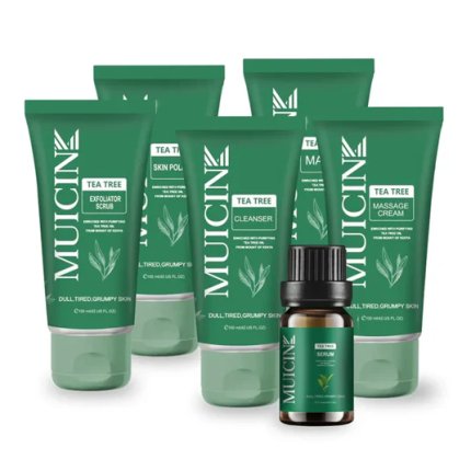 Tea Tree Blemish Control Facial Kit